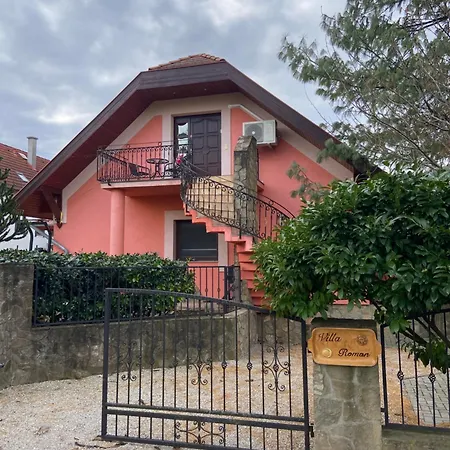 Apartment Roman Villa شقة